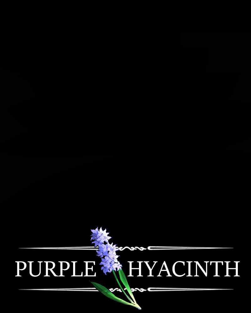 Purple Hyacinth Chapter 126 1